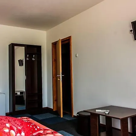 Pensjonat Pensiunea Carmen *