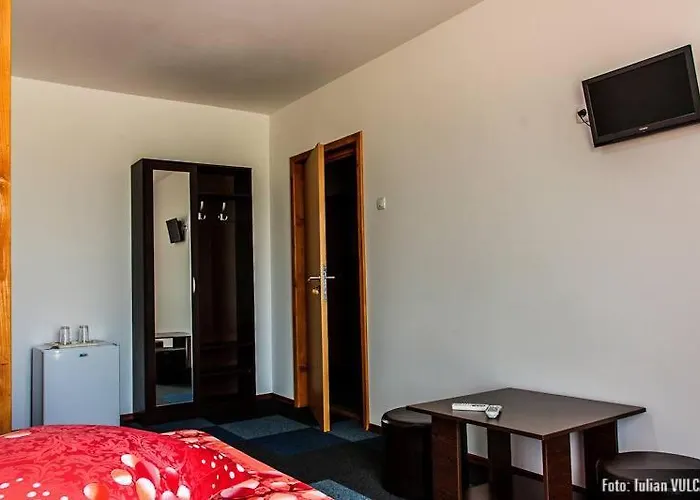 Pensionat Pensiunea Carmen *